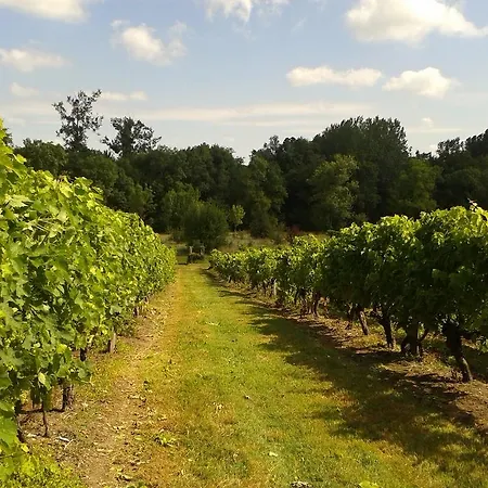 Domaine De La Grande Motte 4* Saint-Dizant-du-Gua