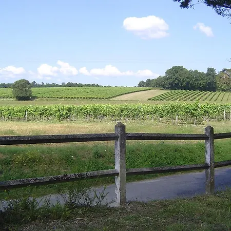 Domaine De La Grande Motte