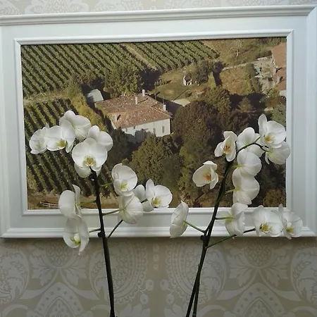 Domaine De La Grande Motte 4*